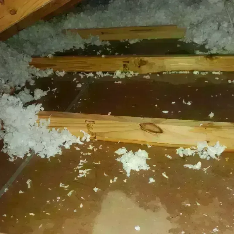 Attic Water Damage in Hanover, VA