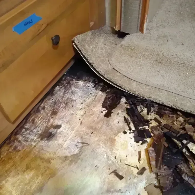 Best Wood Floor Water Damage Service in Hanover, VA